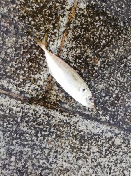 久々にお気に入りの場所で…