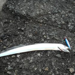 風のなかのショアジギング