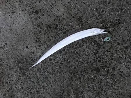 チャイチー連発