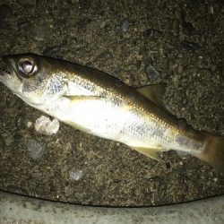 朝練メッキ&おまけ