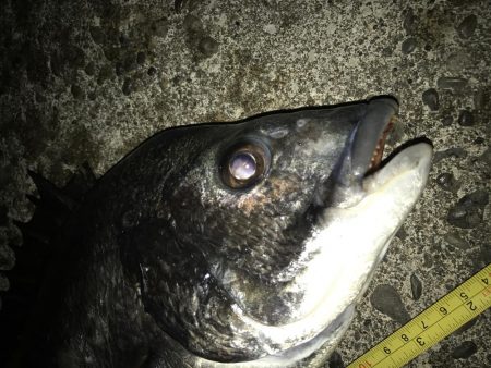 青流して自己記録更新！