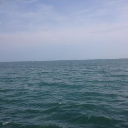 盆休み釣行ツバスのみ