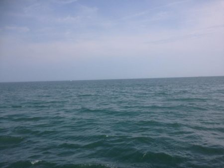 盆休み釣行ツバスのみ