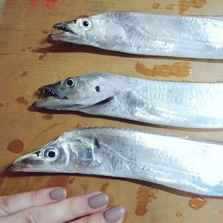 新子がきた～～！