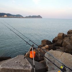 残暑のキス釣り