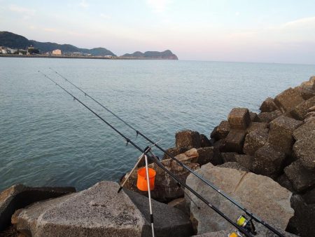 残暑のキス釣り