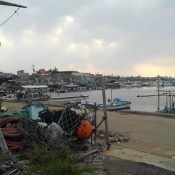 僕の夏休み(パート2)