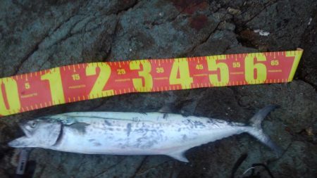 ひったくられた