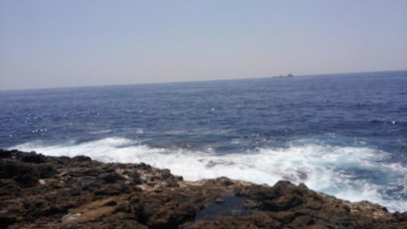 シイラどこよ？