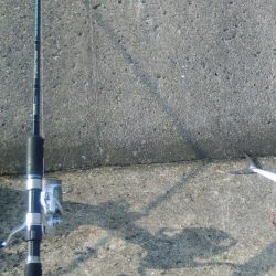 久し振りに週末台風ではなかったので、釣りに行って見た