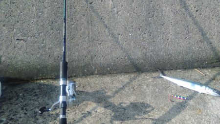 久し振りに週末台風ではなかったので、釣りに行って見た