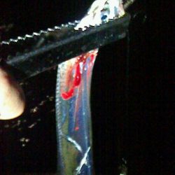 ボウズに近い釣果;;