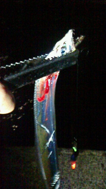 ボウズに近い釣果；；