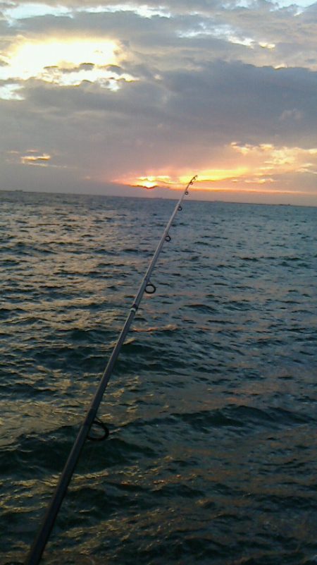 台風後の太刀貧果