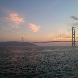 小アジにウルメイワシ！