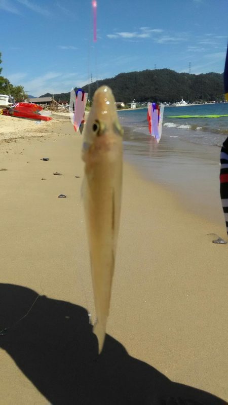 シロギス投げ釣り