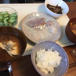 初マイクロワインドで初の青物！！