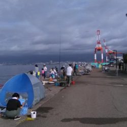 鳴尾浜臨界公園でライトジギング
