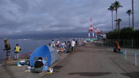 鳴尾浜臨界公園でライトジギング