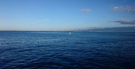 久々のシーバス