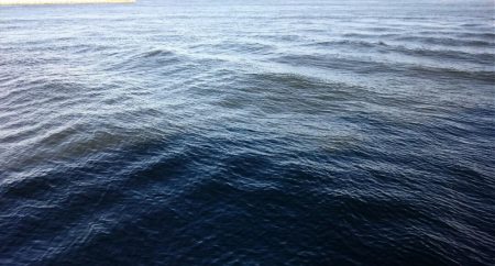 アジ◯  タチウオ×