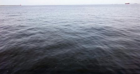 アジは好調継続中