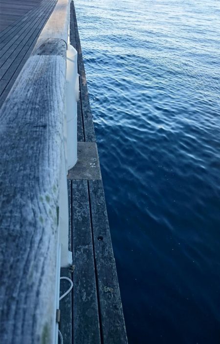 大阪市内タチウオ調査&アジング