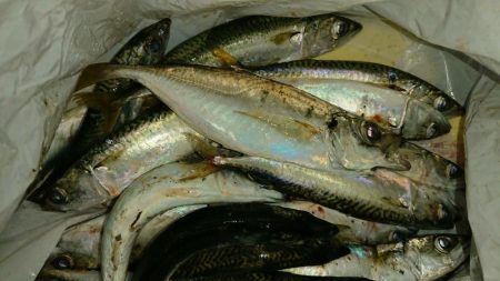 またもや起死回生