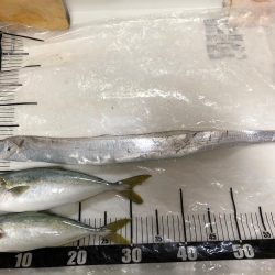 淡路島でショアジキ+ワインド