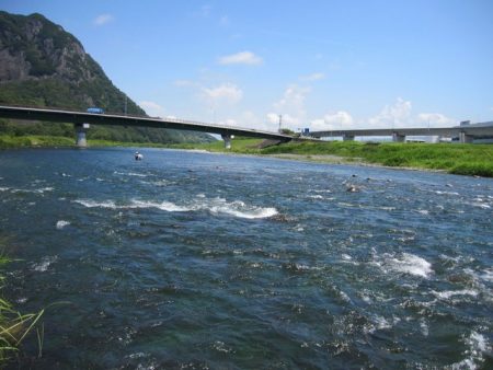 狩野川(狩野川漁業協同組合) 釣果