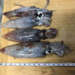 少ないけど、なんとか！