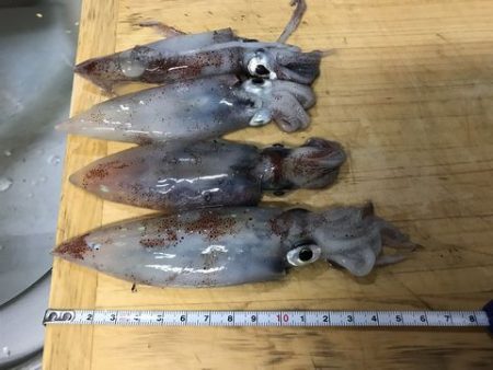 少ないけど、なんとか！