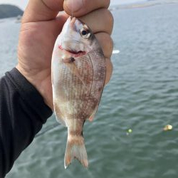 1年ぶりリベンジ釣行!