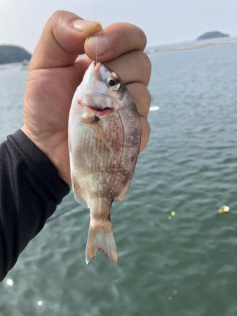 1年ぶりリベンジ釣行!