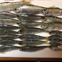 ママカリ再チャレンジ！！