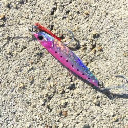 台風後のタチウオ&サゴシ!