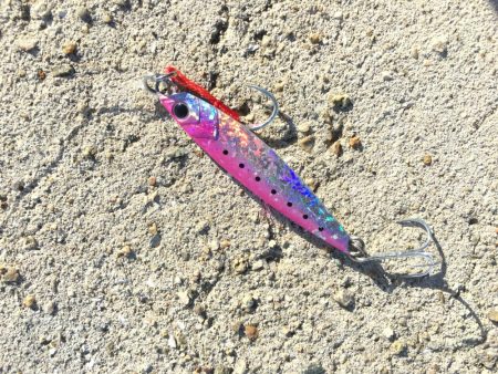 台風後のタチウオ&サゴシ!