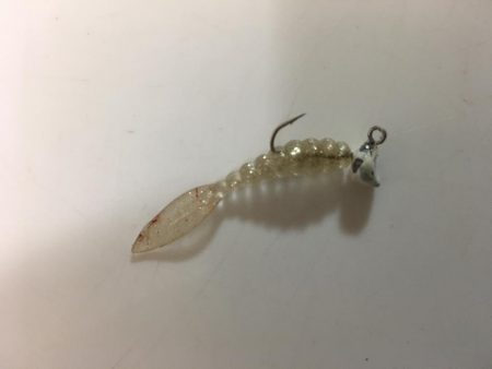 人生初のショアマダイ