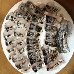 仁王丸さんでタチウオ調査