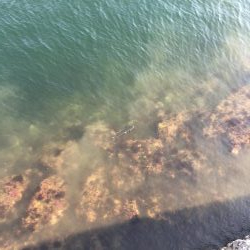 干潮潮止まり前高活性