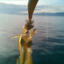 スモールオータム