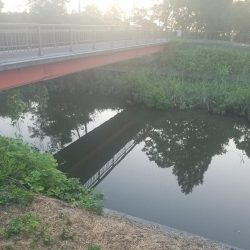 今日はサイズダウン