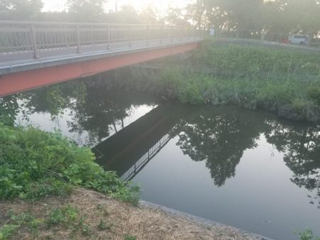 今日はサイズダウン