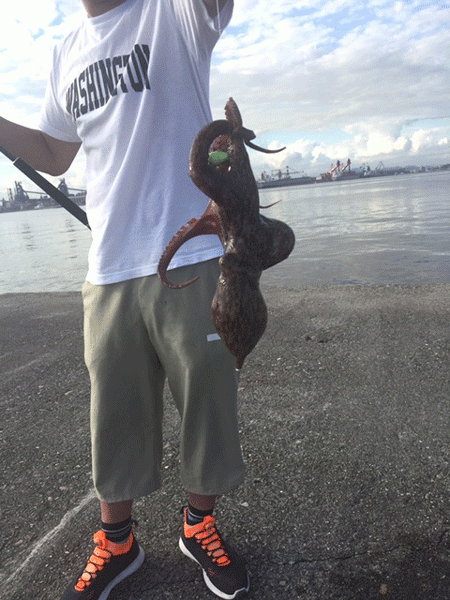 播磨新島タコ(2018-6)