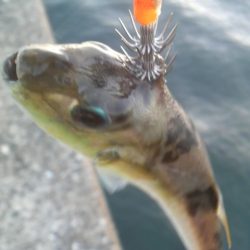 たくさん食べて 大きくな~れ!