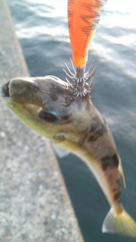 たくさん食べて 大きくな~れ!