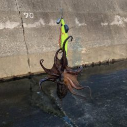 オクトパッシング