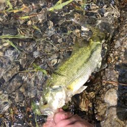 久しぶりの河口湖を満喫!!