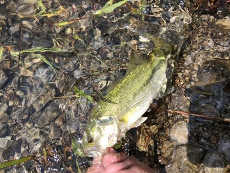 久しぶりの河口湖を満喫!!