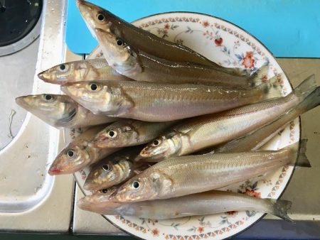 まだまだイケる＾＾v